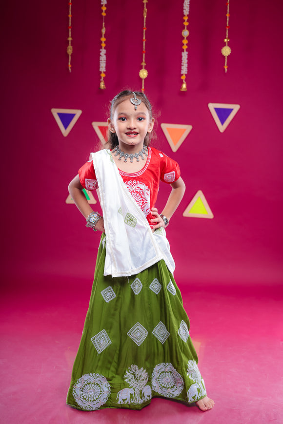 Banjara India Kutchi Embroidered Girls Chaniya Choli with Dupatta (CC-WHRK)-Green