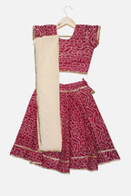 Banjara India Kutchi EmboidePink Yellow Girls Chaniya Choli with Dupatta (CC-BANDHEJ) - Pink