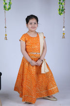 Banjara India Kutchi Emboidered Yellow Girls Chaniya Choli with Dupatta (CC-BANDHEJ) - Yellow