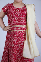 Banjara India Kutchi Emboidered Yellow Girls Chaniya Choli with Dupatta (CC-BANDHEJ) - Red
