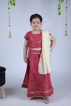 Banjara India Kutchi Emboidered Yellow Girls Chaniya Choli with Dupatta (CC-BANDHEJ) - Red