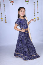 Banjara India Kutchi Emboidered Yellow Girls Chaniya Choli with Dupatta (CC-BANDHEJ) - Blue