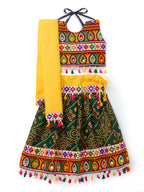 Banjara India Kutchi Emboidered Black Girls Chaniya Choli with Dupatta (CC-RJS) - Green