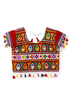 Banjara India Kutchi Emboidered Black Girls Chaniya Choli with Dupatta (CC1-RJS) - Black