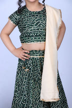 Banjara India Kutchi Emboidered Yellow Girls Chaniya Choli with Dupatta (CC-BANDHEJ) - Green