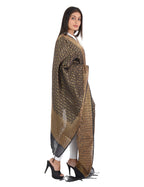 Banarasi Kora Silk Zari Dupatta - Karina-Black
