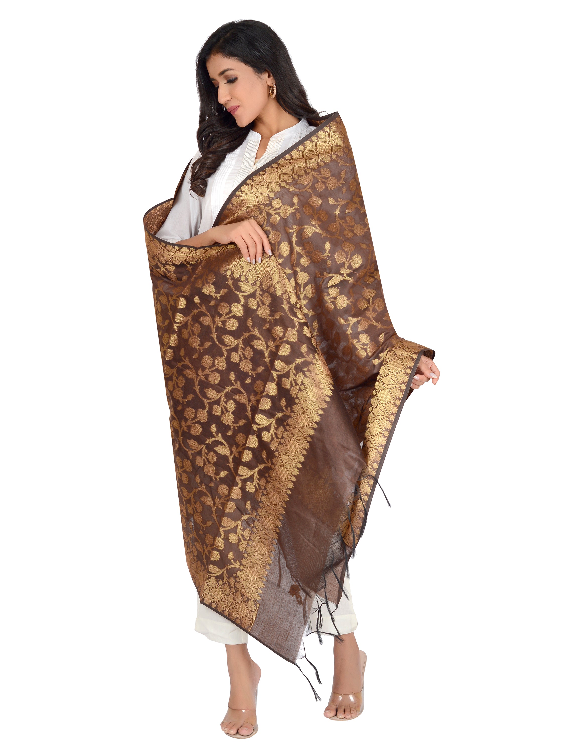 Banarasi Kora Silk Kiara Butti Dupatta- Brown