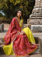 Premium Red Tribal Motif Aari Embroidered Handloom Cotton Shawl/Dupatta With Lemon Cotton Lace _MF1603