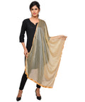 Net Lycra Plain Dupatta_Beige