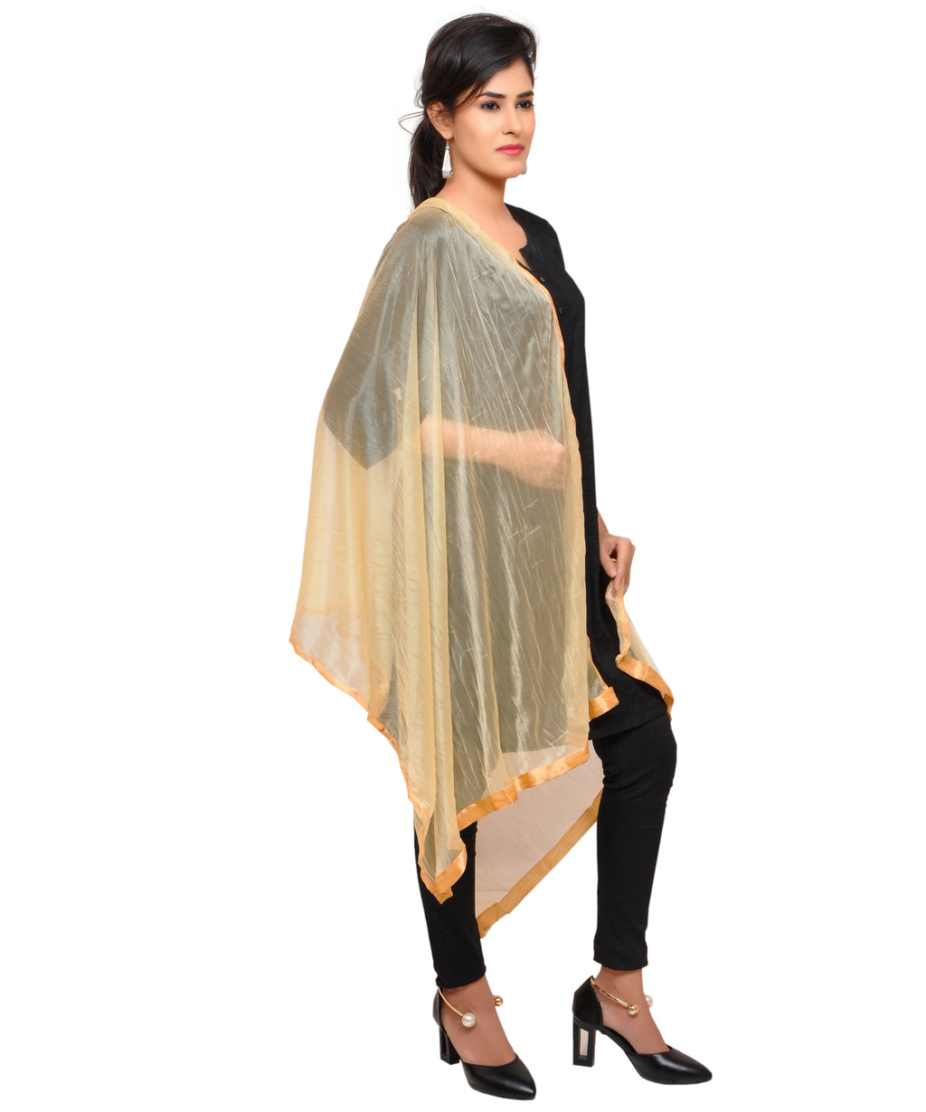 Net Lycra Plain Dupatta_Beige